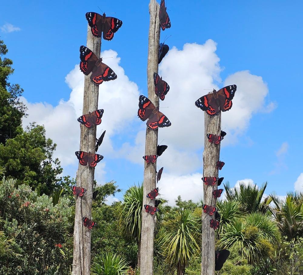 20250103_145844 (2).jpg